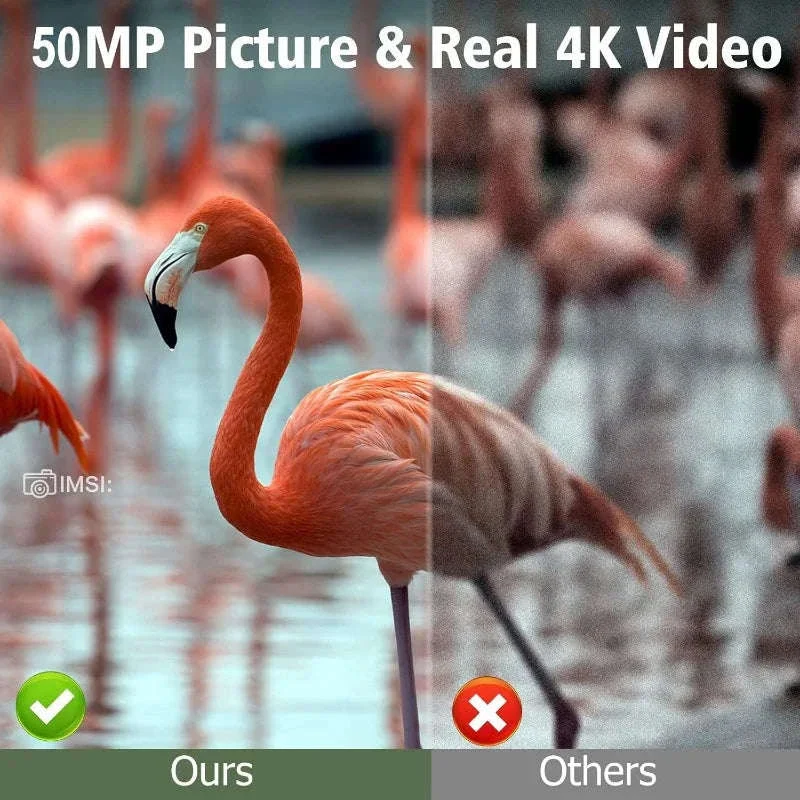 Solar Wildlife Trail Camera with 50MP Photos and 4K Video - Image 3