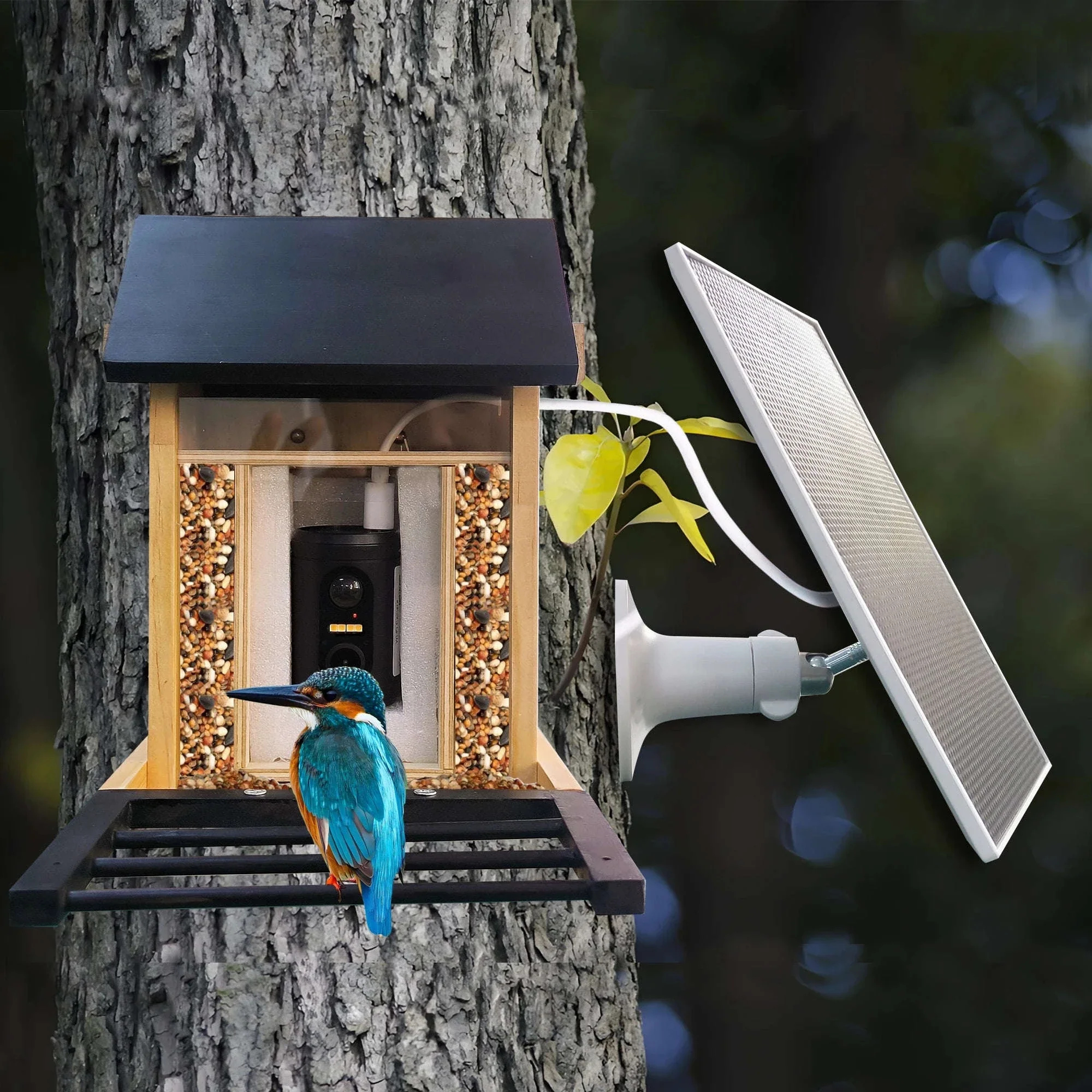 1080P Solar Bird Feeder Camera with Night Vision - Image 38
