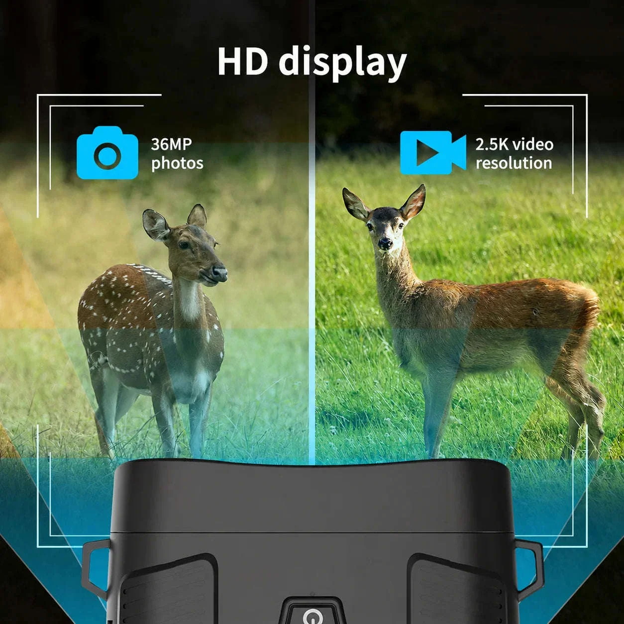 2.5K Night Vision Goggles with 36MP Photos and 6X Zoom - Image 5