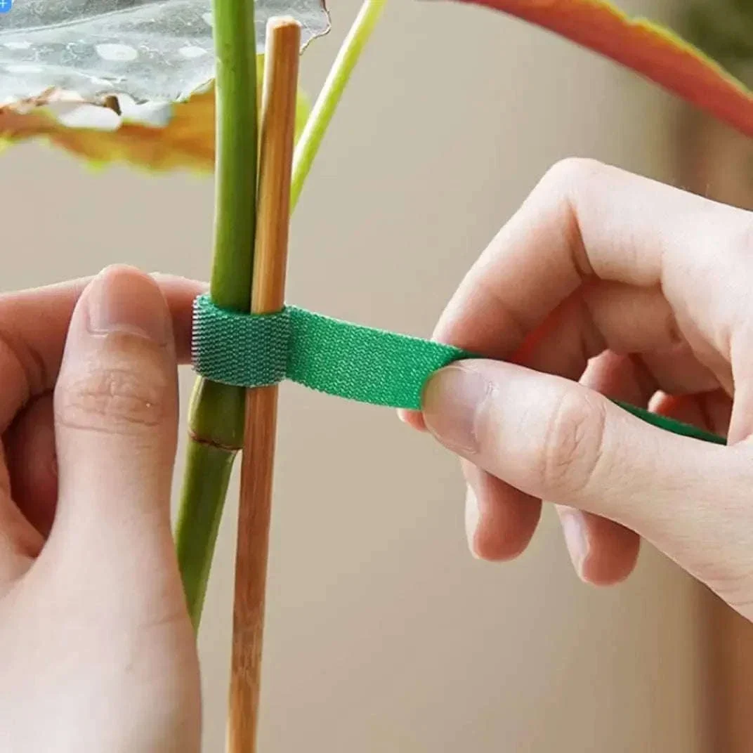 Adjustable Nylon Plant Ties for Gentle Garden Support - Image 11