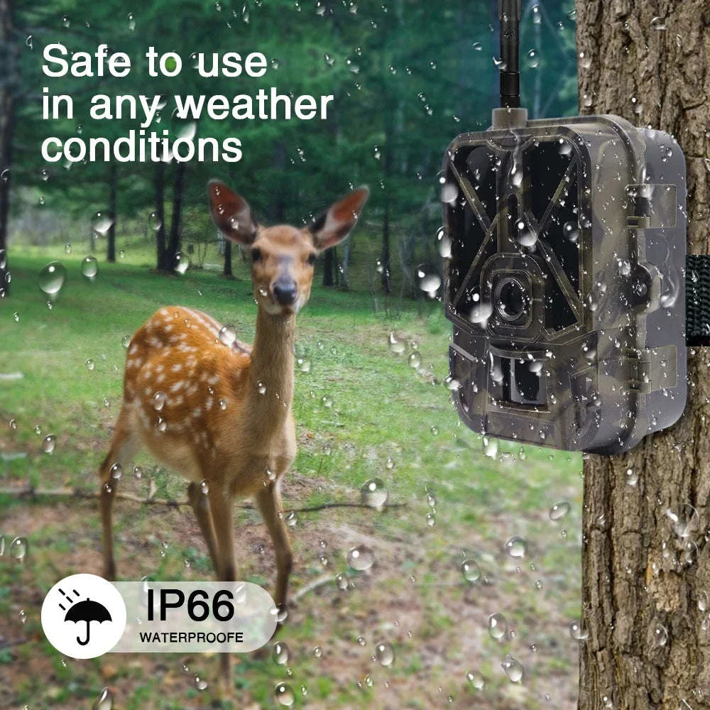 4K Live Stream Trail Camera with App Control and Night Vision - Image 5
