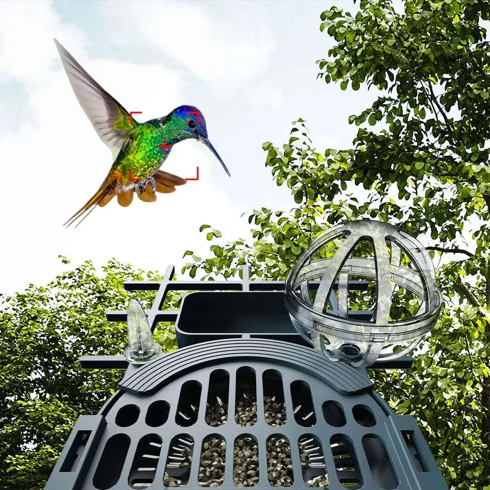 Smart Bird Feeder Camera with Solar Power, 4MP HD WiFi - Image 11