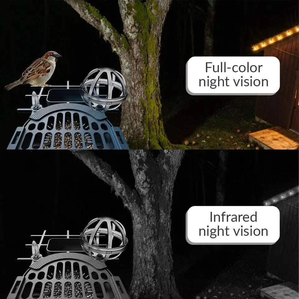 Smart Bird Feeder Camera with Solar Power, 4MP HD WiFi - Image 12