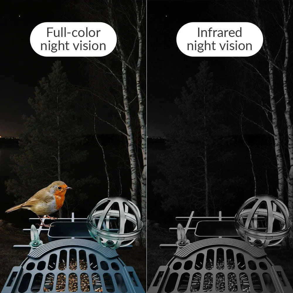 Smart Bird Feeder Camera with Solar Power, 4MP HD WiFi - Image 6