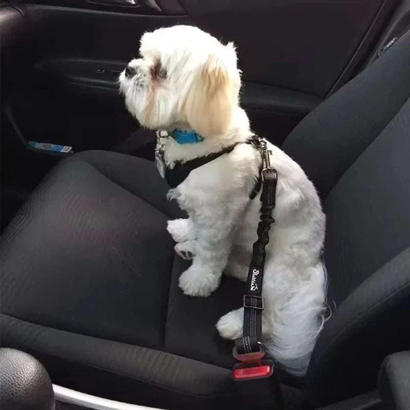 Adjustable Dog Car Safety Belt with Damping and Reflective Line - Image 4