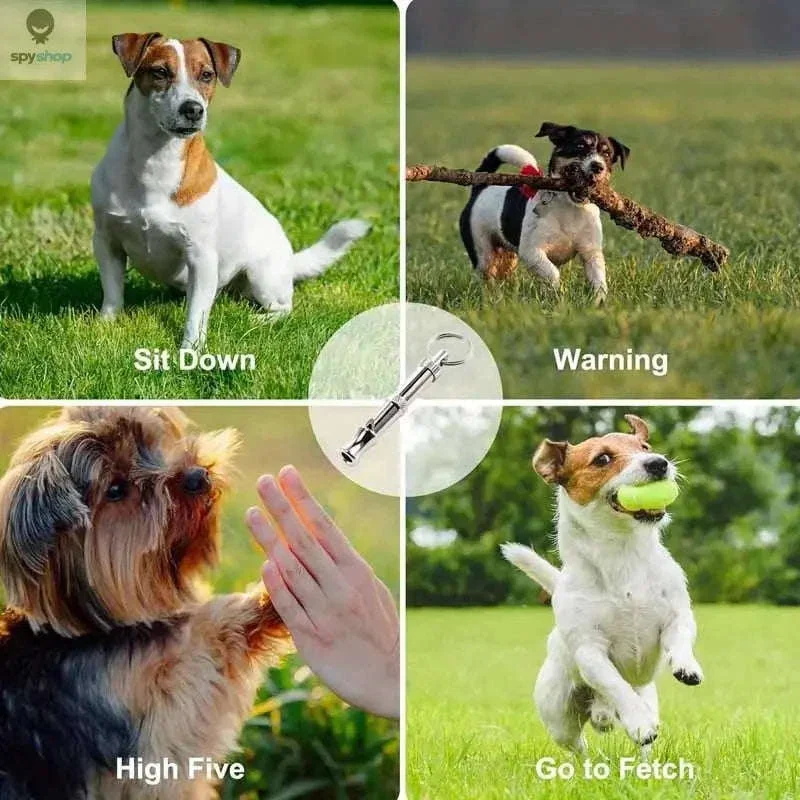 Adjustable Dog Whistle for Bark Control and Recall Training - Image 5