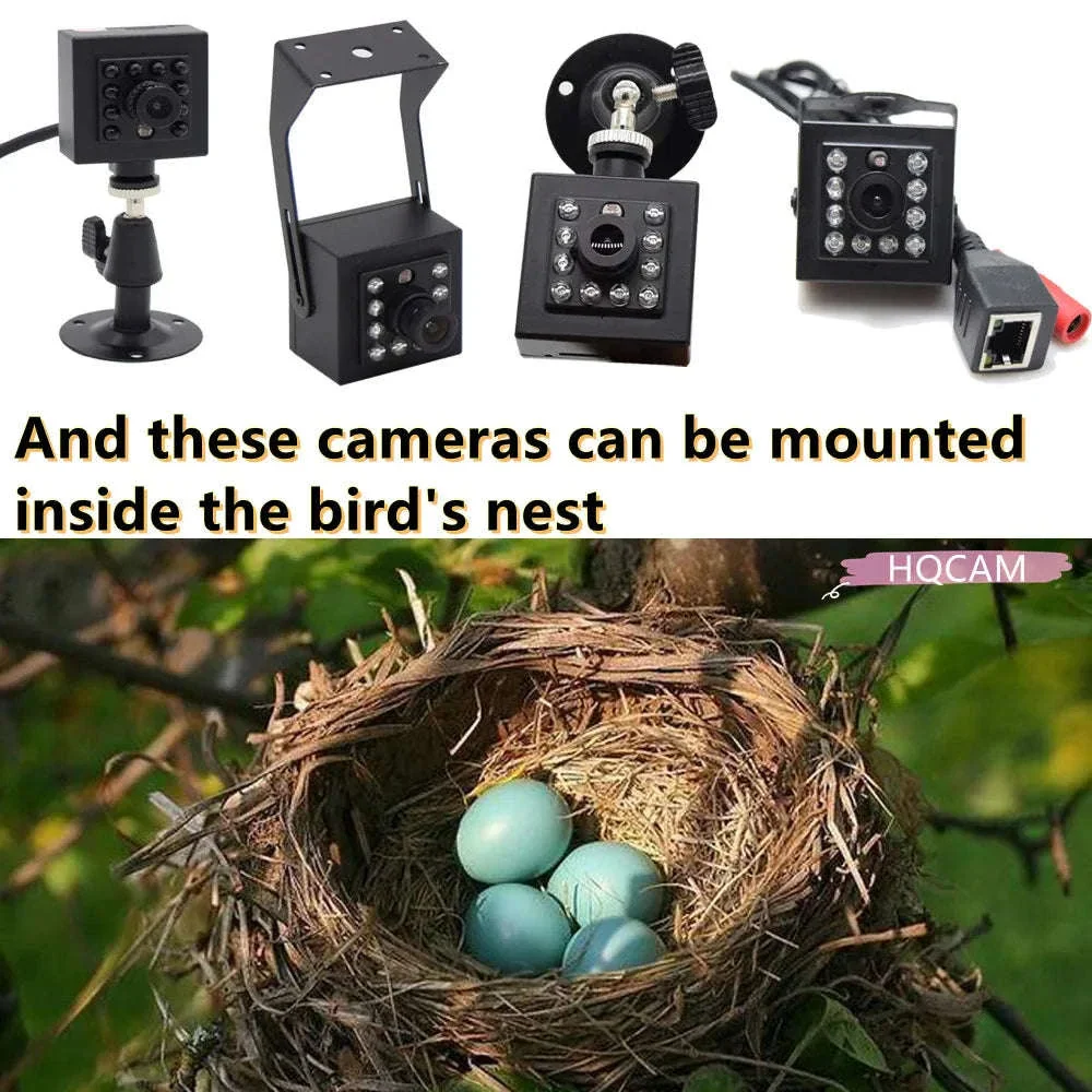 Bird Box Camera Kit with 5MP Night Vision and IP66 - Image 16
