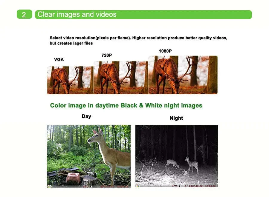 4G Cellular Trail Camera 36MP 1080P Night Vision IP66 - Image 16