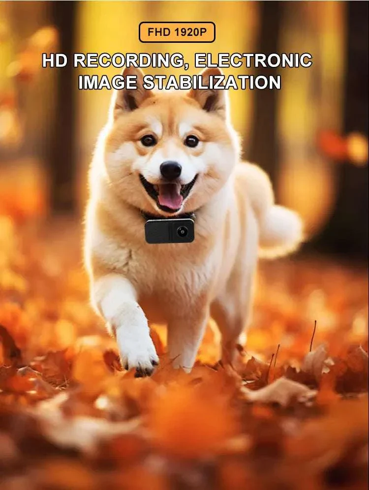 HD 1080P Pet Collar Camera with 170° Wide Angle Recording - Image 10