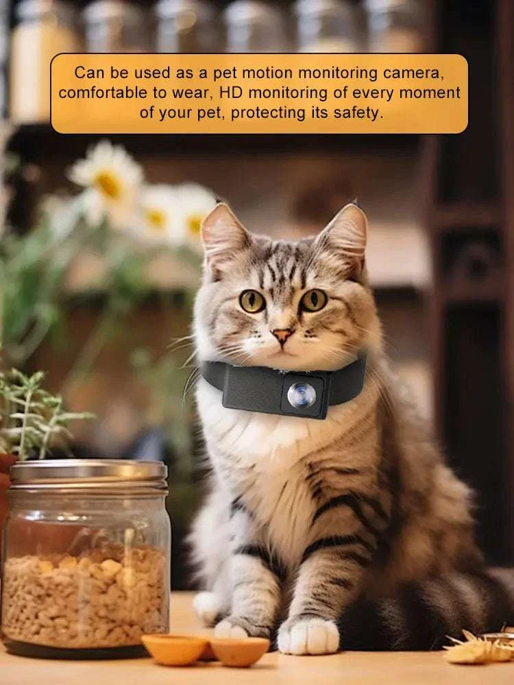 HD 1080P Pet Collar Camera with 170° Wide Angle Recording - Image 11
