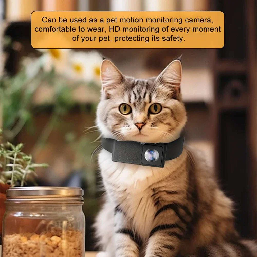 HD 1080P Pet Collar Camera with 170° Wide Angle Recording - Image 4