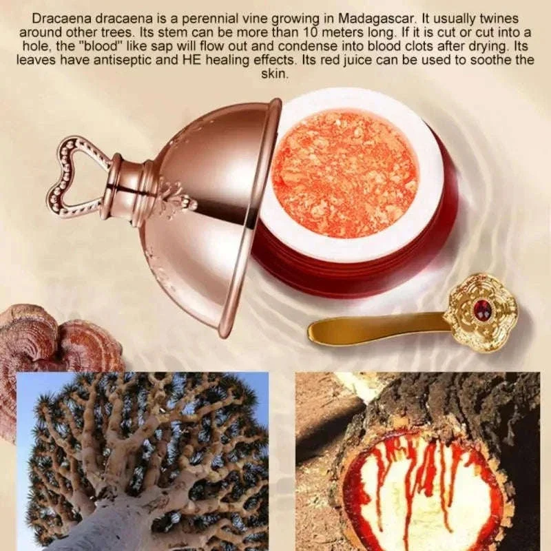 Dragon's Blood Face Cream for Brighter, Firmer-Looking Skin - Image 3