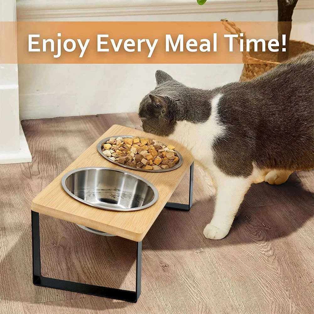 Elevated Cat Bowls with 15° Tilted Raised Stand