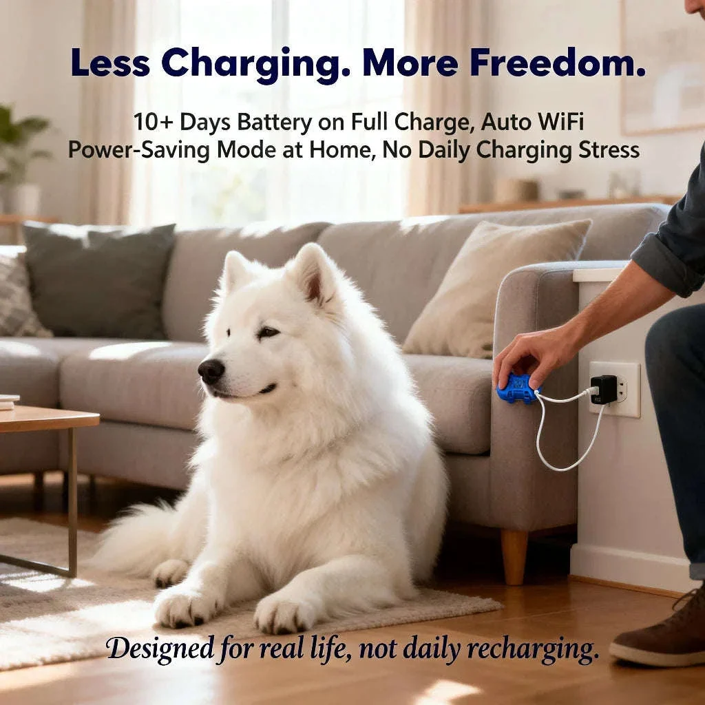 GPS Pet Tracker with Real-Time Tracking, Geo-Fence & App Alerts - Image 12