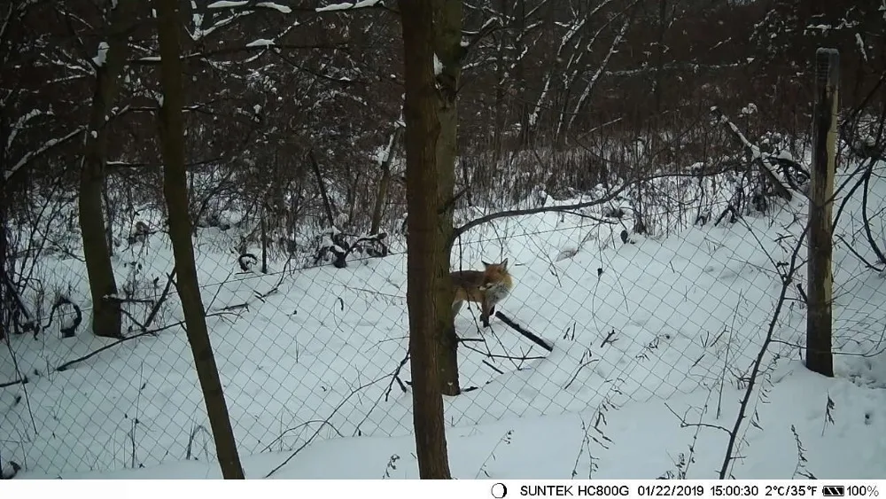 HC802A Wireless Trail Camera, 24MP Night Vision Wildlife Camera - Image 17