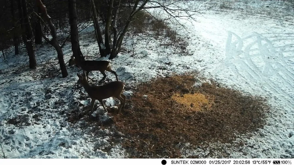 HC802A Wireless Trail Camera, 24MP Night Vision Wildlife Camera - Image 19