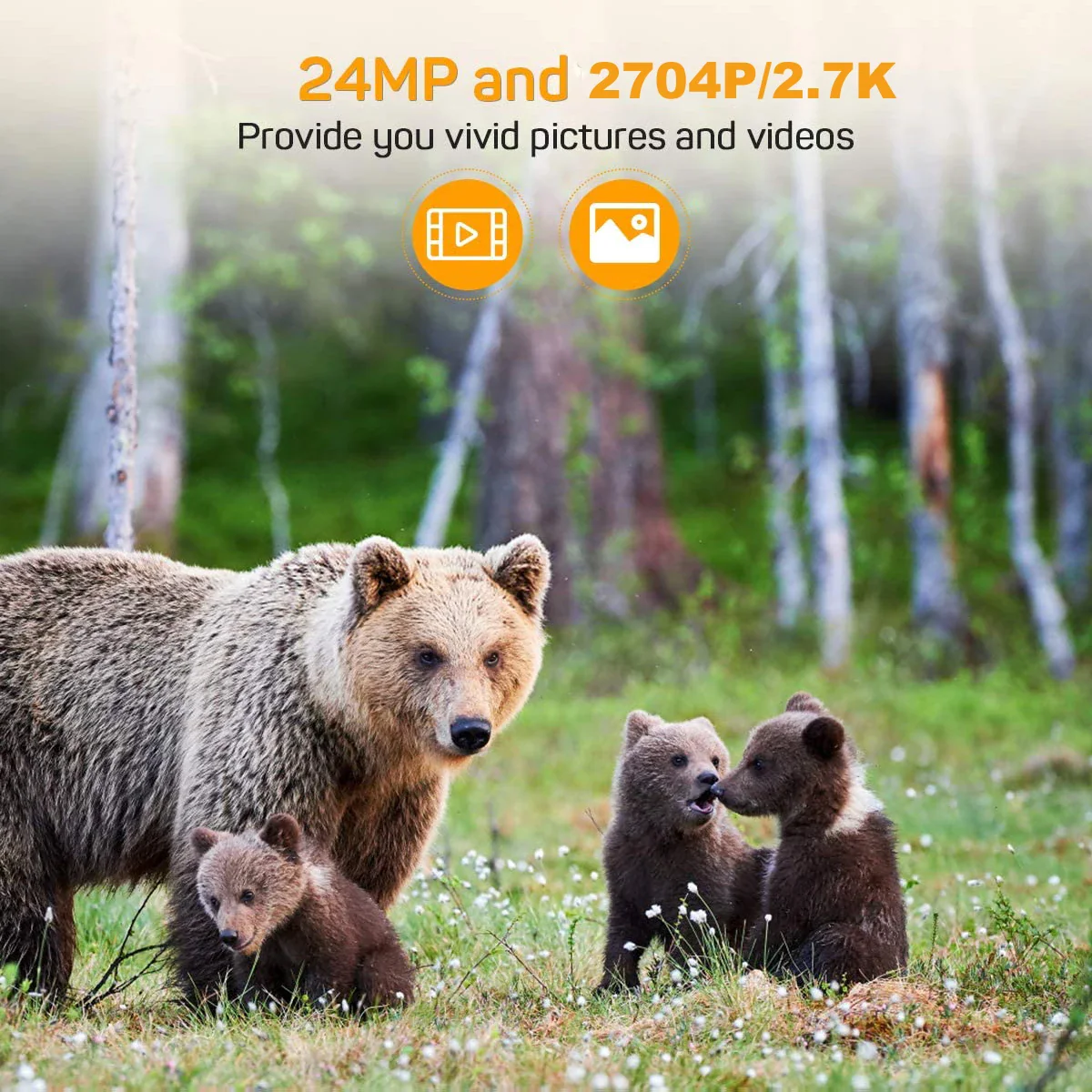 HC802A Wireless Trail Camera, 24MP Night Vision Wildlife Camera - Image 3