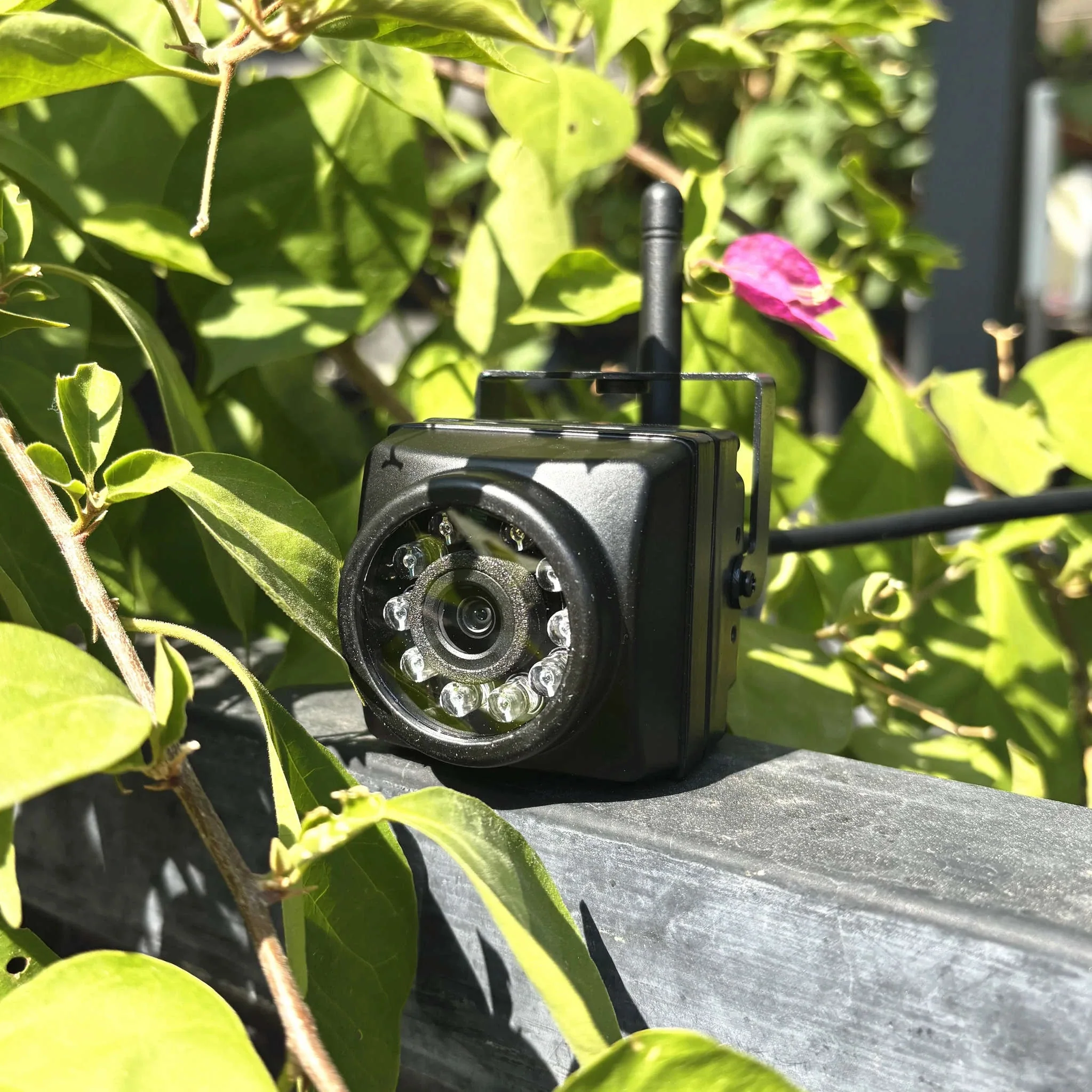 8MP WiFi IP Security Camera with Motion Detection and IP66 - Image 13
