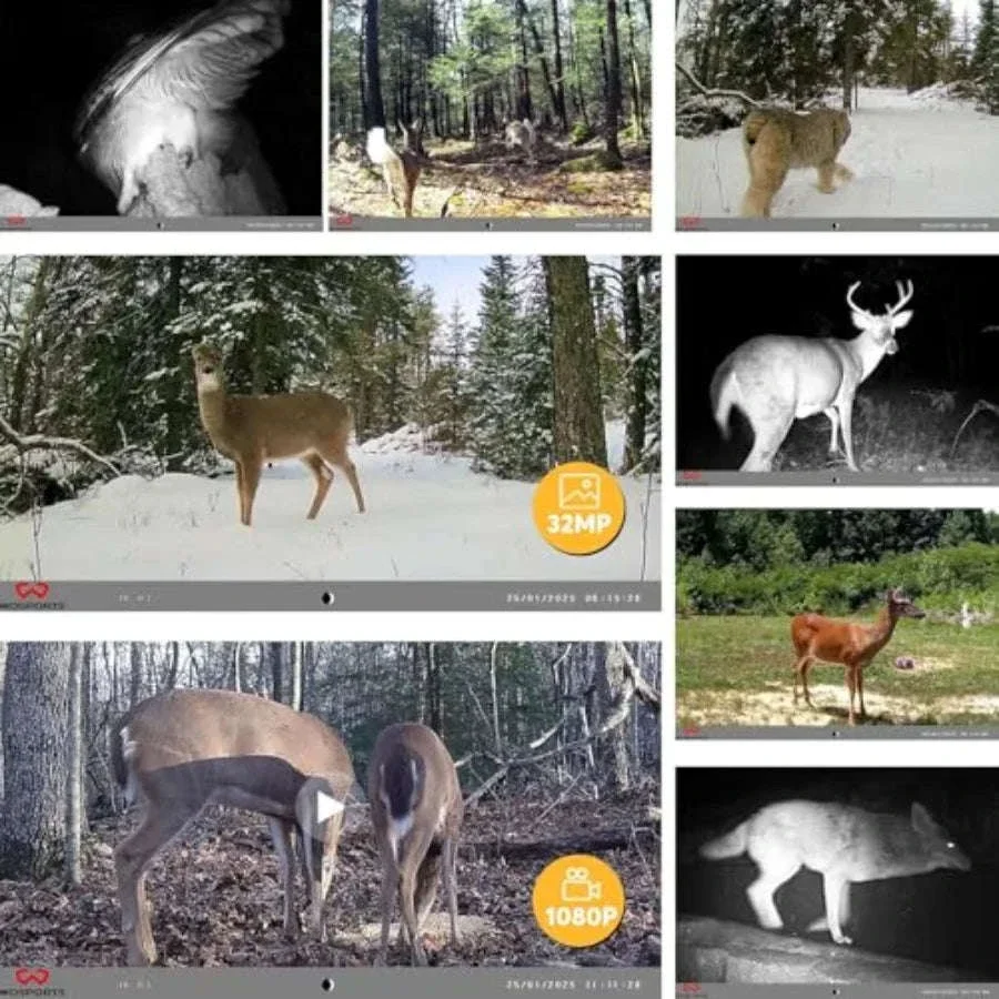 Mini Trail Camera 2 Pack with 32MP Photos and 1080P Video - Image 4