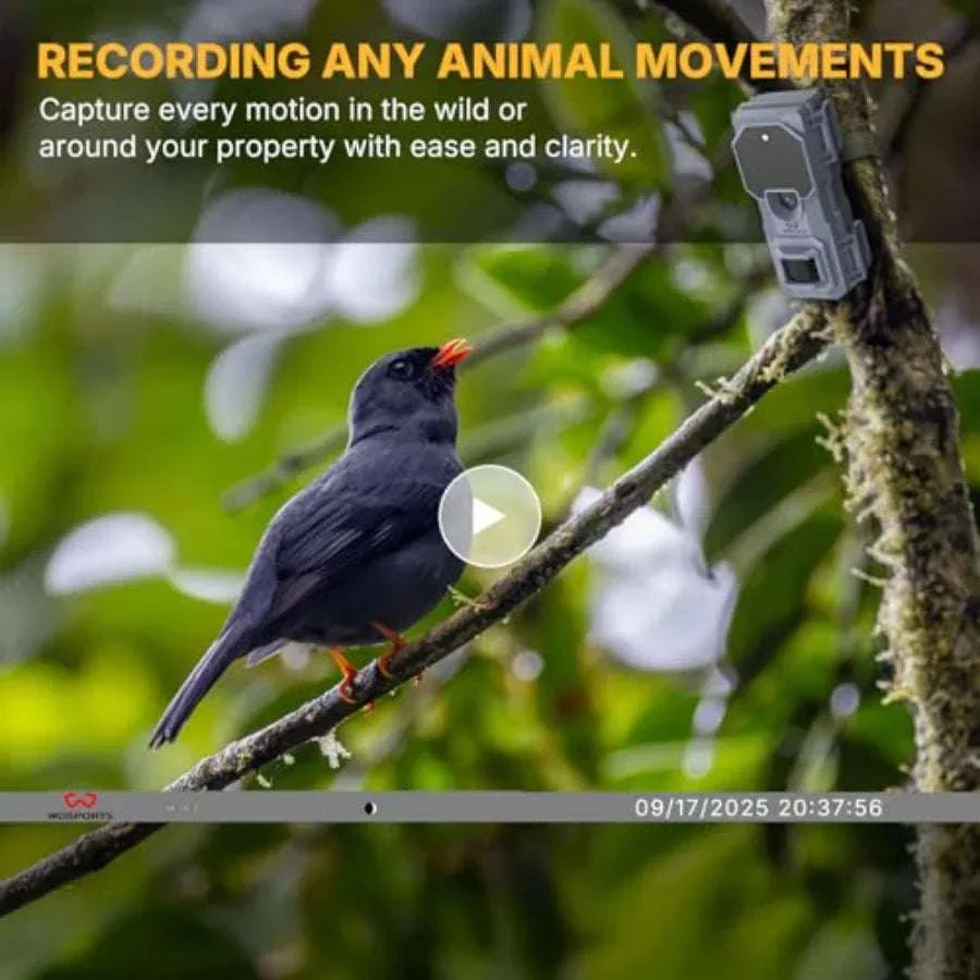 Mini Trail Camera 6-Pack with 32MP and 1080P HD Video - Image 5