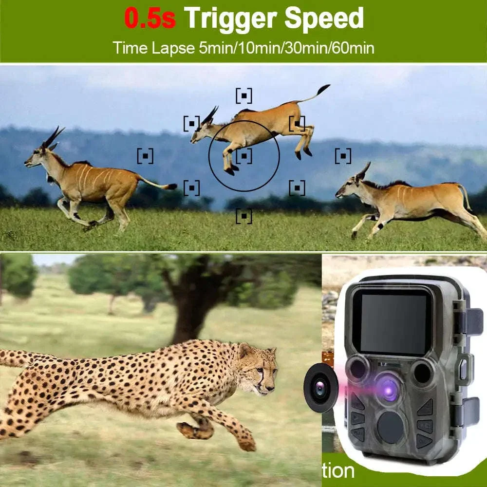 Mini Trail Camera with 4K Video, Night Vision, and IP66 Water Resistance - Image 4