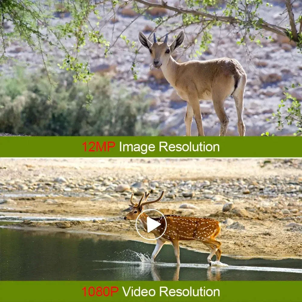 Mini Trail Camera with 4K Video, Night Vision, and IP66 Water Resistance - Image 5