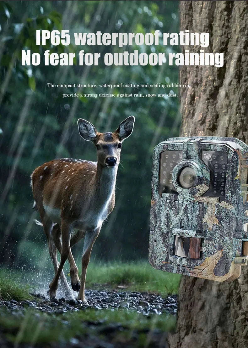 Mini Trail Camera 1080P Night Vision Wildlife Hunting Camera - Image 10