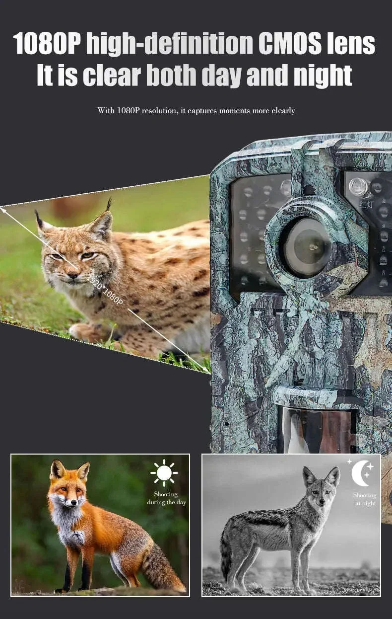 Mini Trail Camera 1080P Night Vision Wildlife Hunting Camera - Image 11