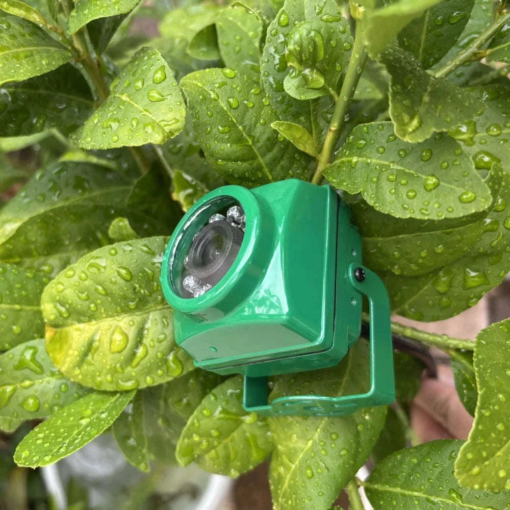Mini WiFi Birdcage Camera with Night Vision for Nest Watching - Image 4