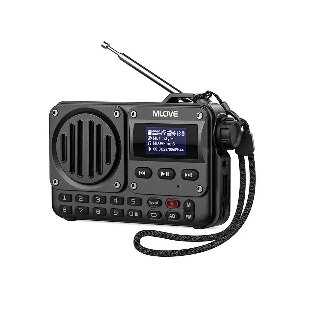 BV800 Portable Bluetooth Speaker with FM Radio and USB Playback