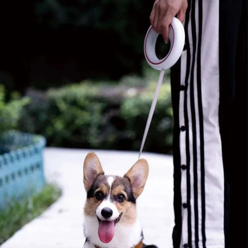 3m Retractable Dog Leash with One-Hand Brake & Anti-Slip Handle - Image 5