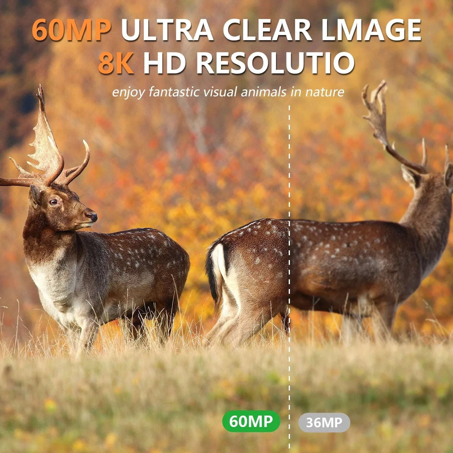 Solar Powered Trail Camera with 8K Video and 60MP Photos - Image 11
