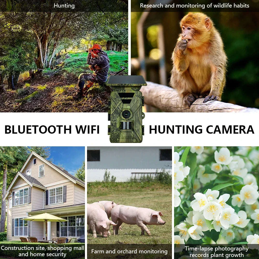 Solar Powered Trail Camera with 8K Video and 60MP Photos - Image 16