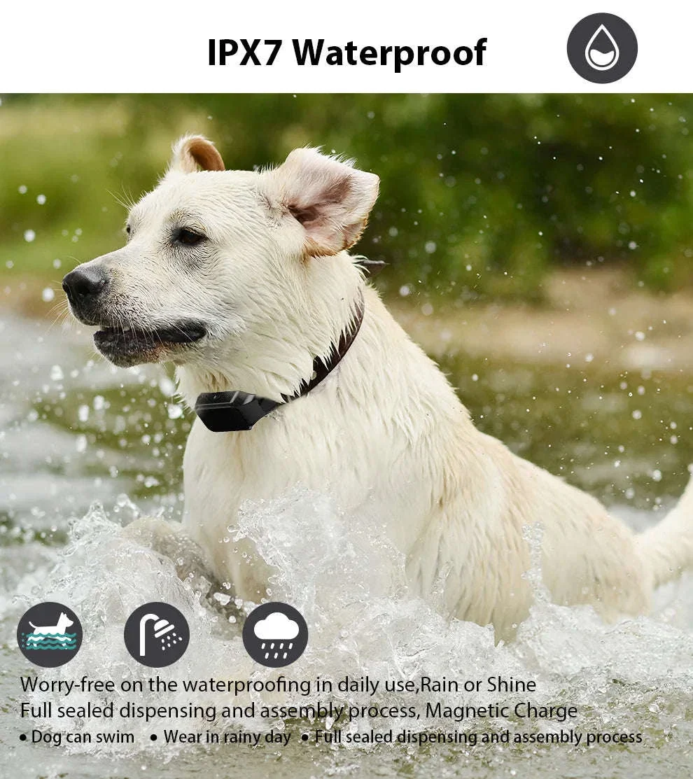 Waterproof Rechargeable Dog Training Collar with 500m Remote Control - Image 11