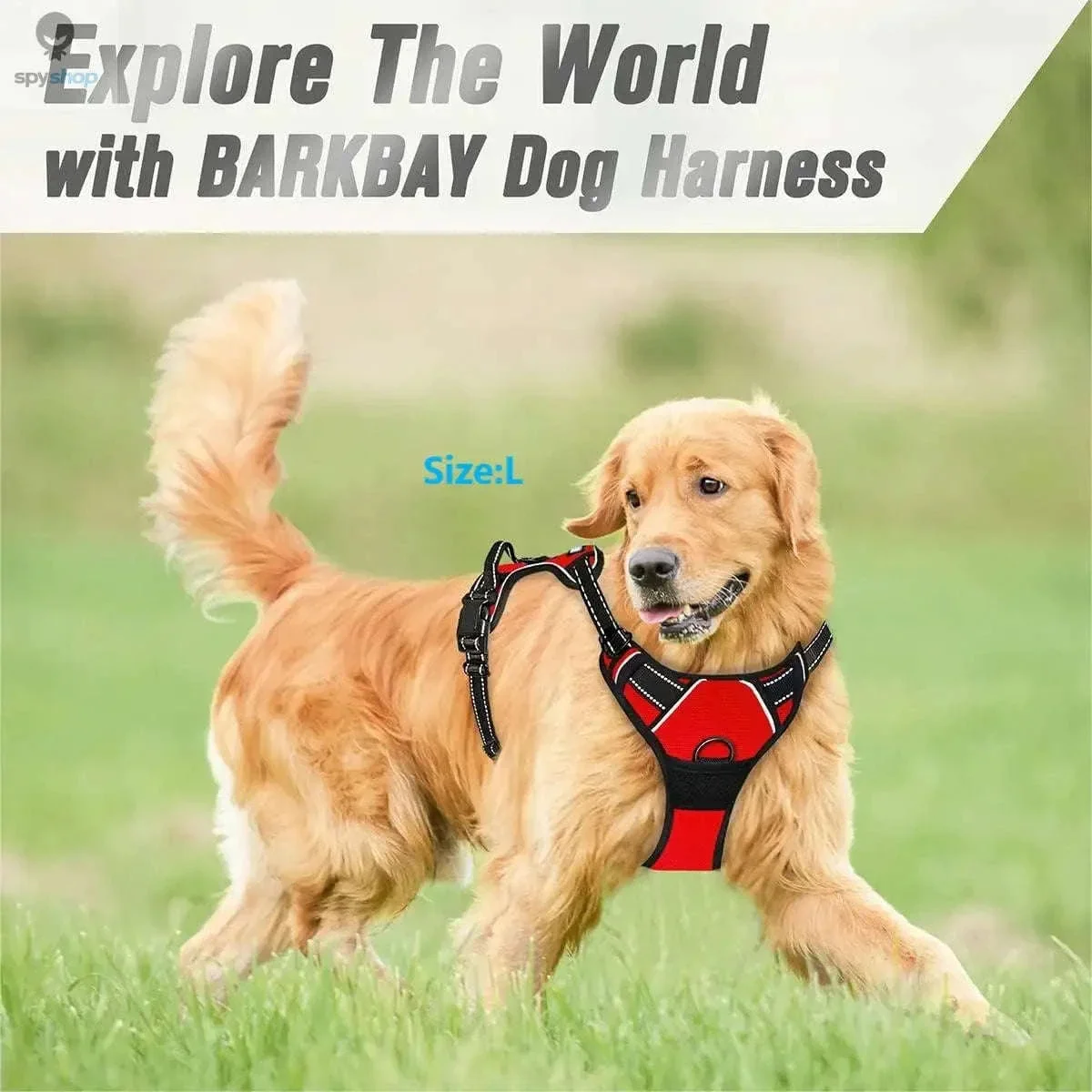 No Pull Dog Harness with Front Clip Control and Reflective Straps - Image 4