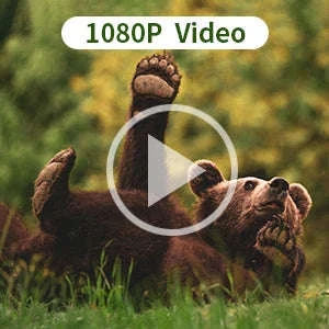 20MP 1080P Trail Camera with Night Vision and IP66 Waterproof - Image 9