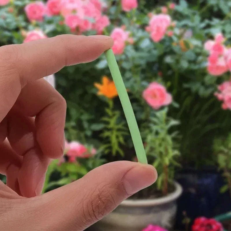 Plant Slow-Release Nutrient Sticks for Indoor Potted Plants - Image 14