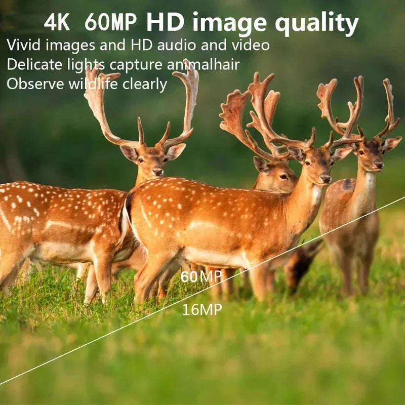 4K WiFi Trail Camera 60MP Motion Activated Night Vision IP66 - Image 3