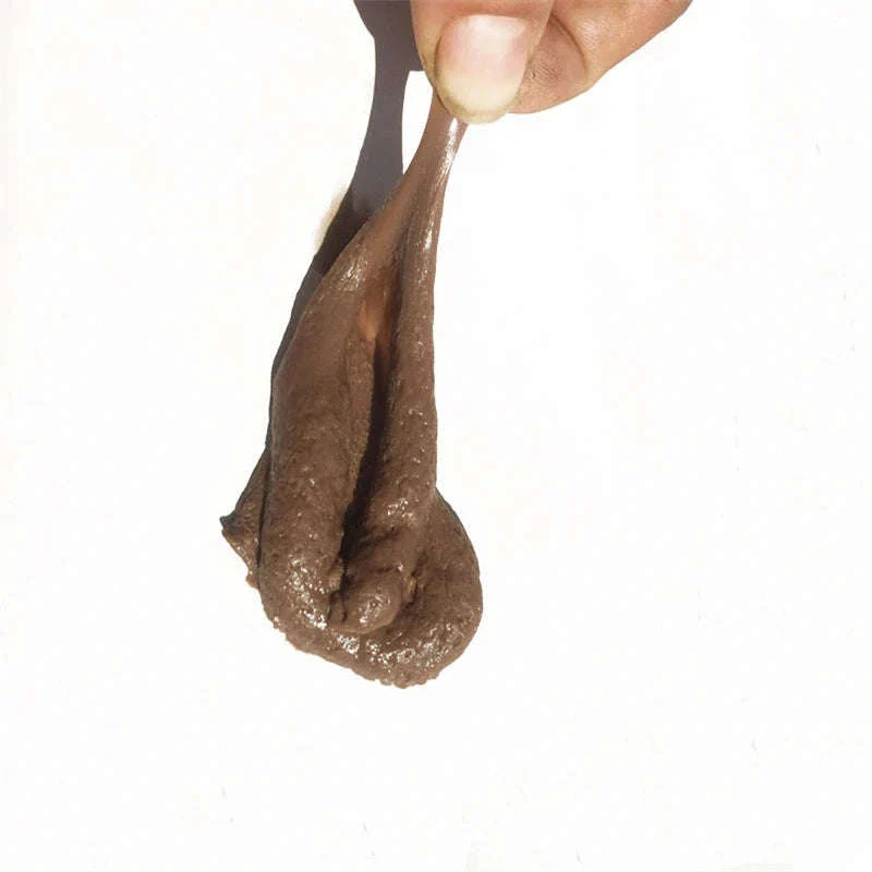 Realistic Fake Poop Prank Toy for Hilarious Reactions - Image 2