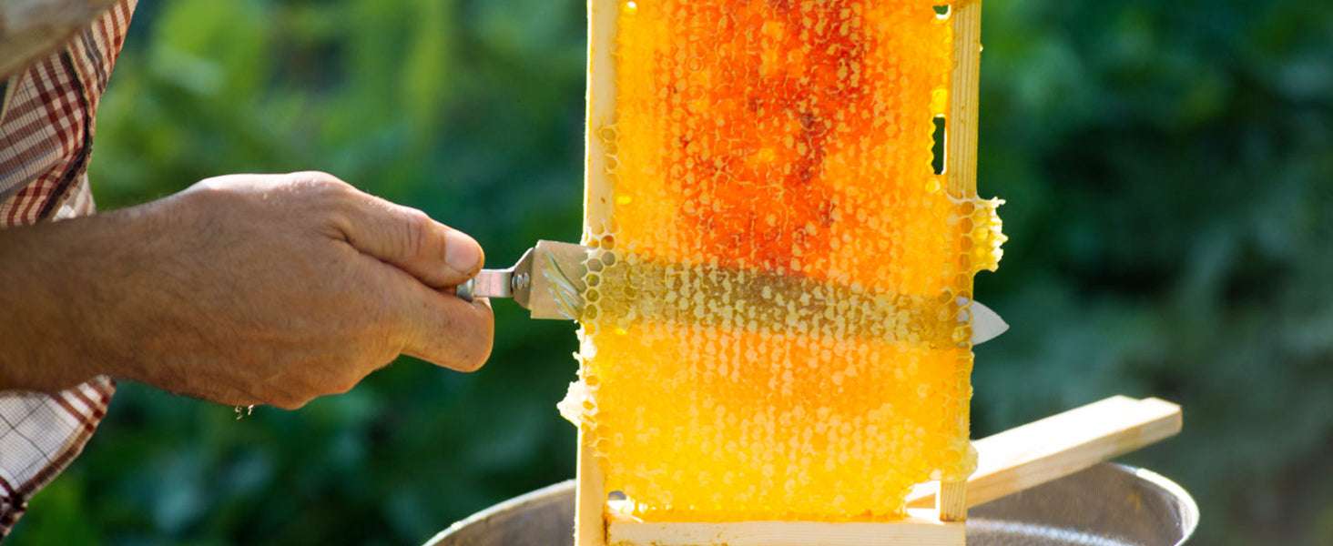 Manual 3-Frame Honey Extractor Stainless Steel Beekeeping Spinner - Image 13