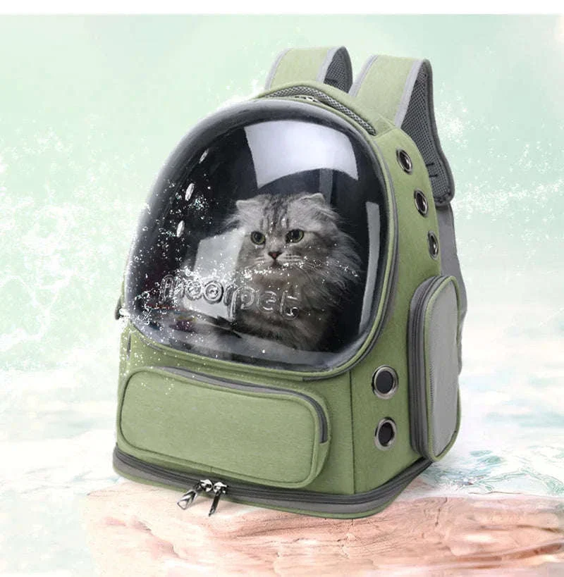 Transparent Pet Carrier Backpack for Cats and Small Dogs - Image 11