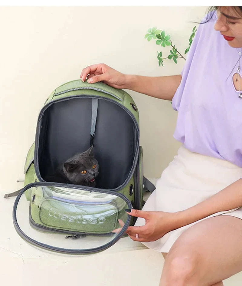 Transparent Pet Carrier Backpack for Cats and Small Dogs - Image 12