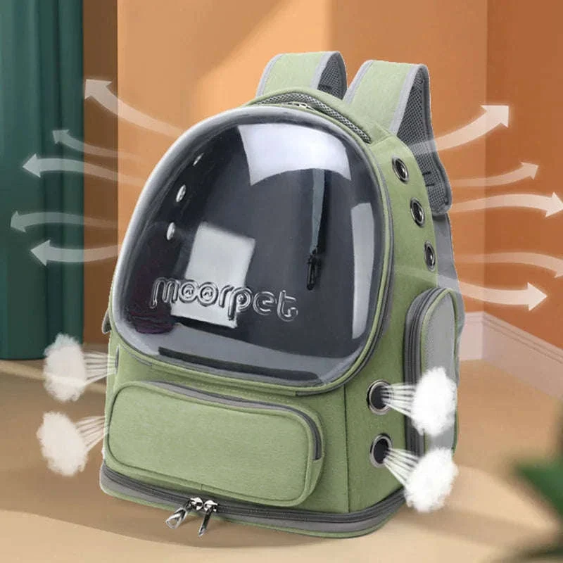 Transparent Pet Carrier Backpack for Cats and Small Dogs - Image 3