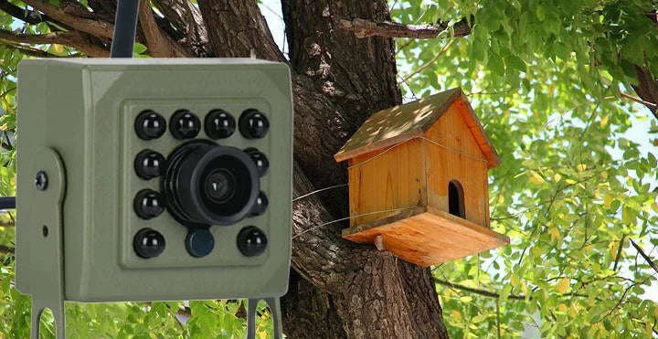 Tuya Smart Bird Watching Camera with Night Vision - Image 21