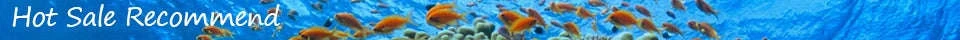 Ultra-Quiet Transparent Aquarium Filter Bucket - Image 6