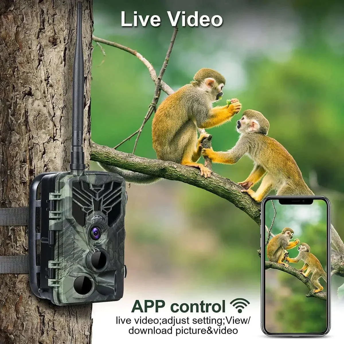 HC-810M Wildlife Hunting Camera with 4K Video, 65ft Night Vision - Image 5